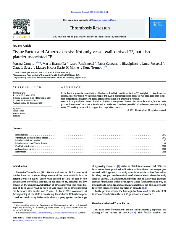 Tissue Factor and Atherosclerosis: Not only vessel wall-derived TF, but also platelet-associated TF