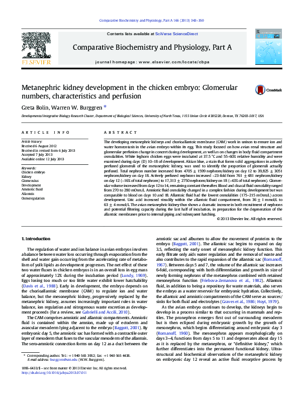 (PDF) Metanephric kidney development in the chicken embryo: Glomerular ...