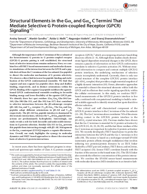 (PDF) Structural elements in the Gαs and Gαq C-termini that mediate ...
