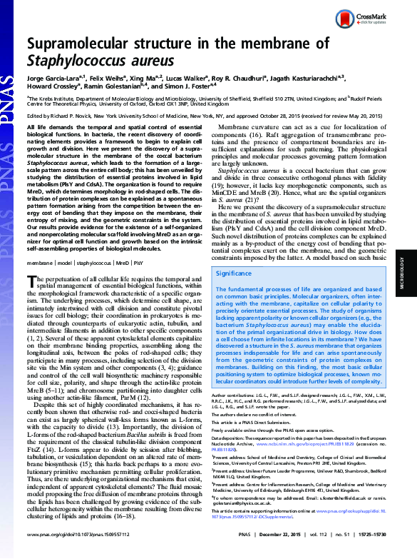 (PDF) Supramolecular structure in the membrane of Staphylococcus aureus