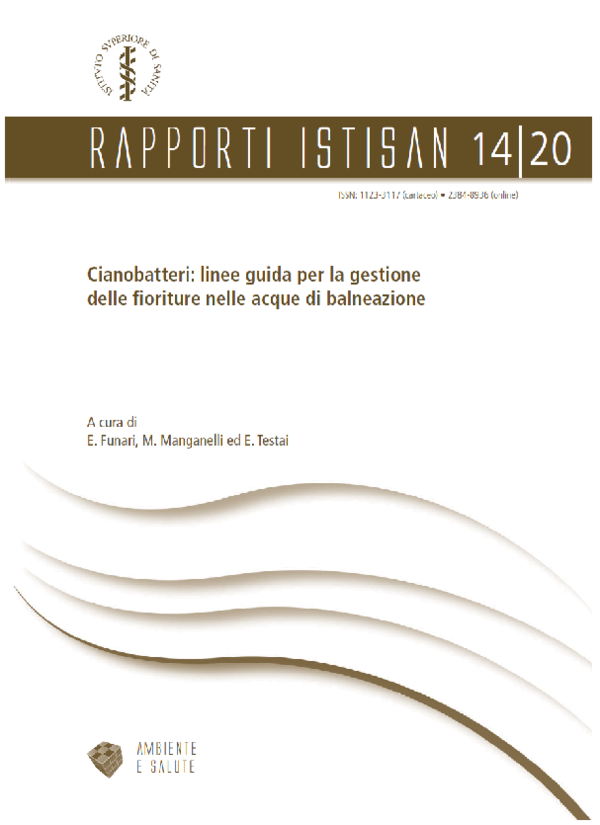 PDF) Rapporti ISTISAN 14/20 ISTITUTO SUPERIORE DI SANITÀ