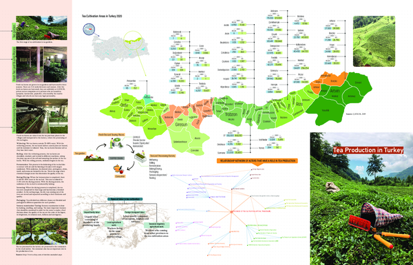(PDF) Tea Production in Turkey