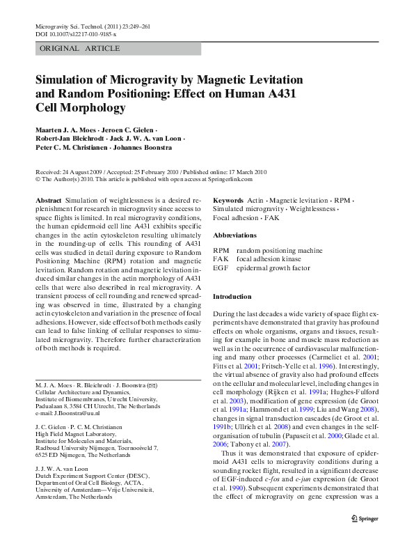 (PDF) Simulation of microgravity by magnetic levitation and random ...