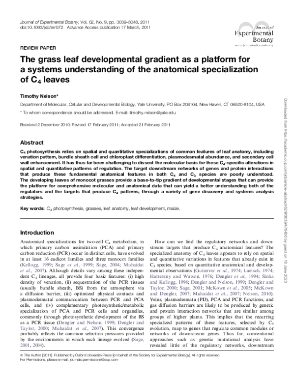 (PDF) The grass leaf developmental gradient as a platform for a systems ...