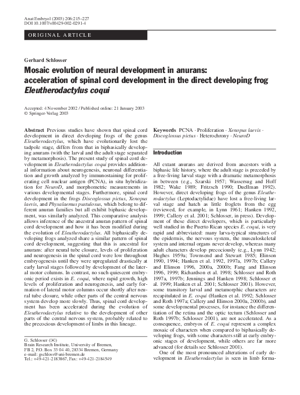 (PDF) Mosaic evolution of neural development in anurans: acceleration ...