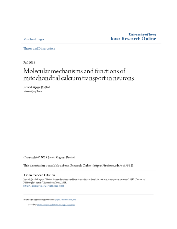 (PDF) Molecular mechanisms and functions of mitochondrial calcium ...