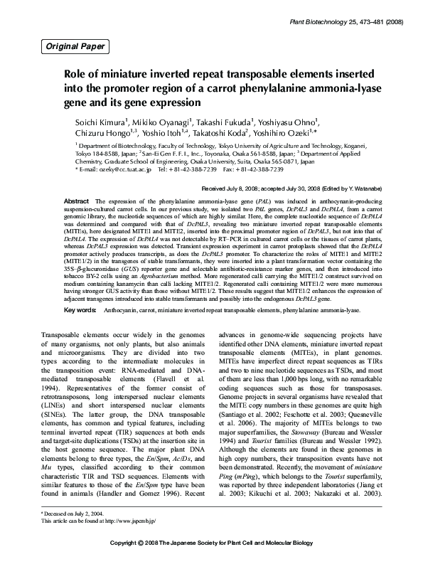 (PDF) Role of miniature inverted repeat transposable elements inserted ...
