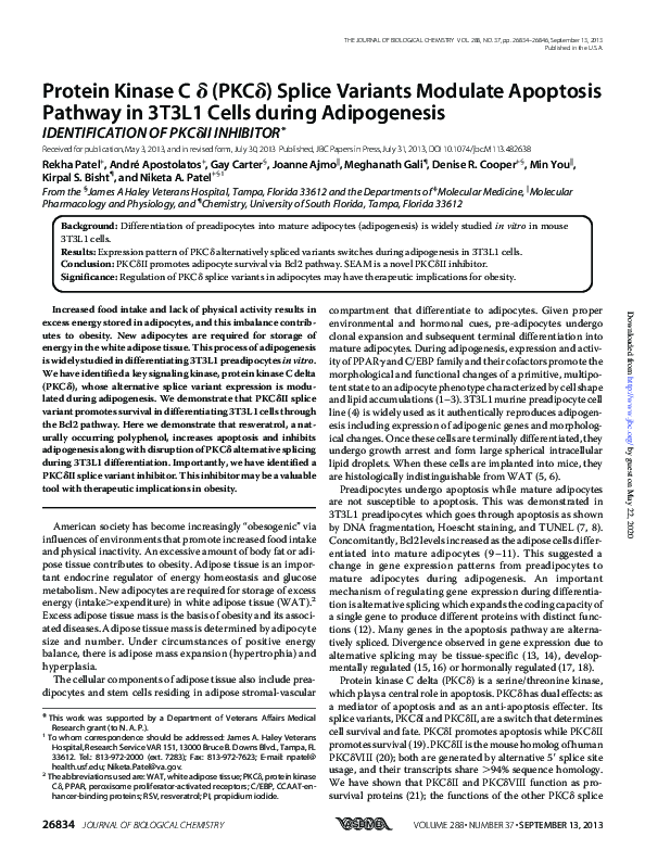 (PDF) Protein Kinase C (PKC ) Splice Variants Modulate Apoptosis ...