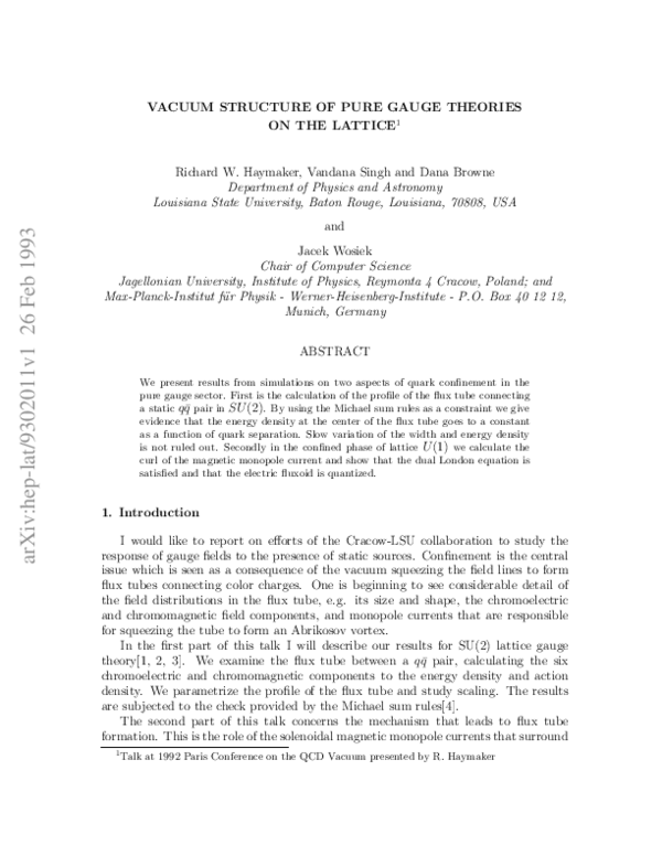 (PDF) Vacuum structure of pure gauge theories on the lattice