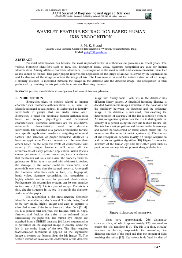 (PDF) Wavelet Feature Extraction Based Human Iris Recognition