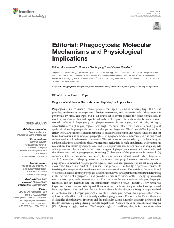 (PDF) Editorial: Phagocytosis: Molecular Mechanisms and Physiological ...
