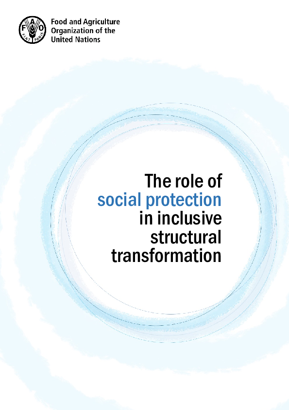 (PDF) The role of social protection in inclusive structural transformation