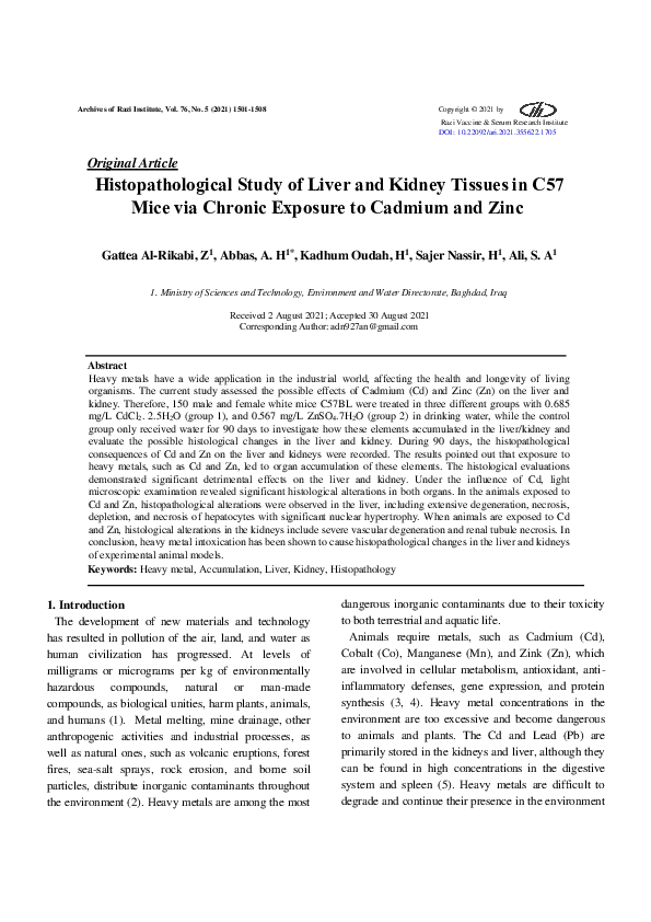 (PDF) Histopathological Study of Liver and Kidney Tissues in C57 Mice ...