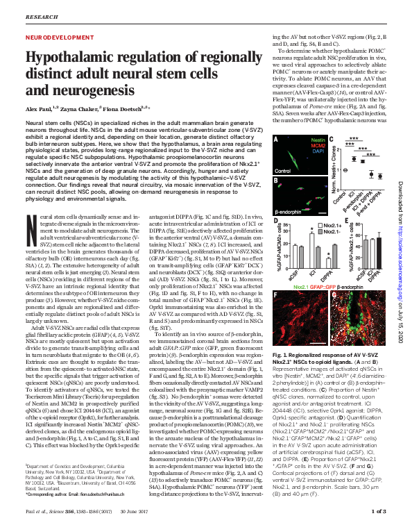 (PDF) Hypothalamic regulation of regionally distinct adult neural stem ...