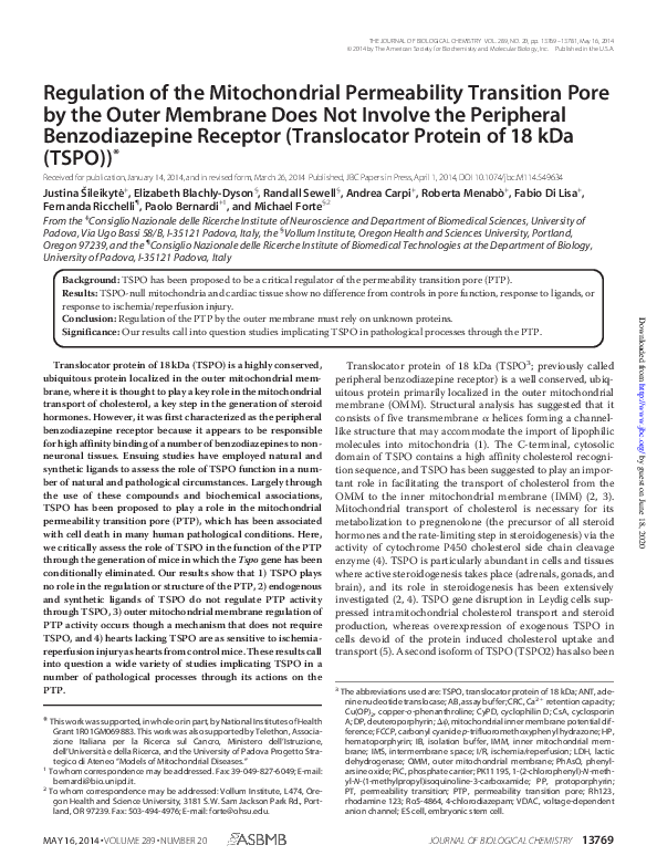 (PDF) Regulation of the Mitochondrial Permeability Transition Pore by ...