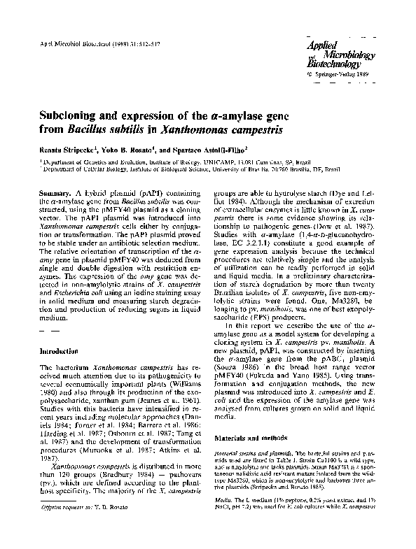 (PDF) Subcloning and expression of the ?-amylase gene from Bacillus ...