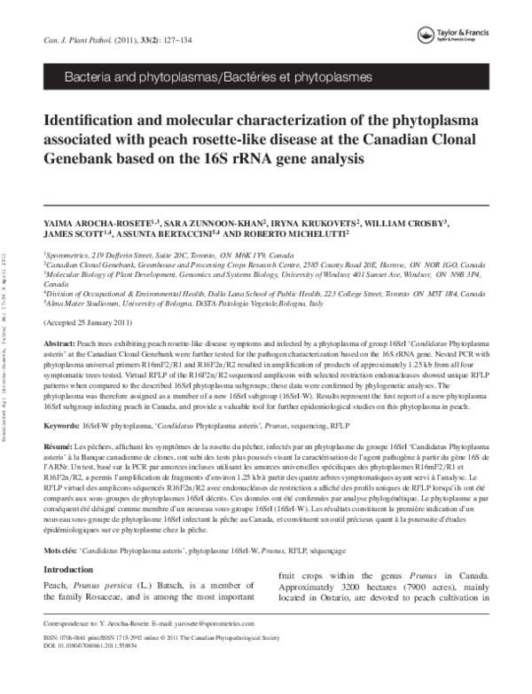 (PDF) Identification and molecular characterization of the phytoplasma ...