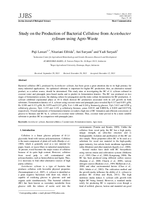 (PDF) Study on the Production of Bacterial Cellulose from Acetobacter ...