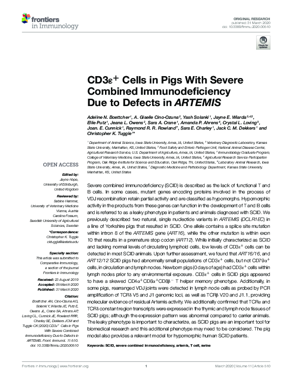(PDF) CD3ε+ Cells in Pigs With Severe Combined Immunodeficiency Due to ...