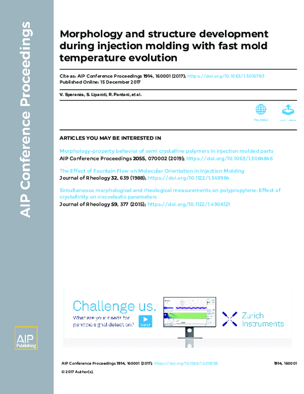 (PDF) Morphology and structure development during injection molding ...