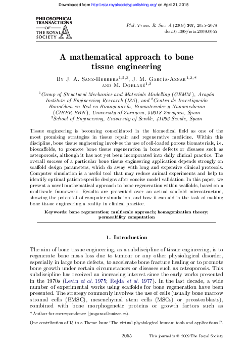 (PDF) A mathematical approach to bone tissue engineering