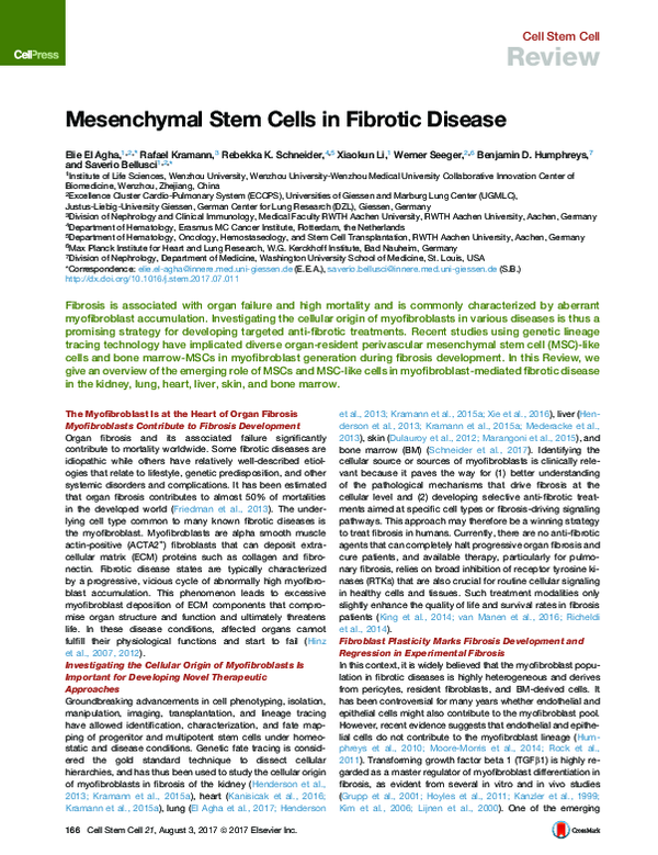 (PDF) Mesenchymal Stem Cells in Fibrotic Disease