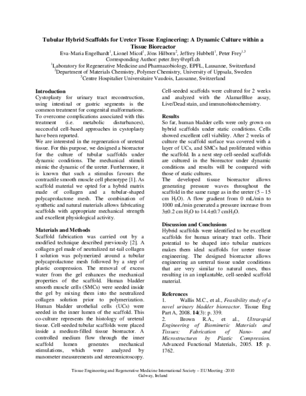 (PDF) Tubular Hybrid Scaffolds for Ureter Tissue Engineering: A Dynamic ...