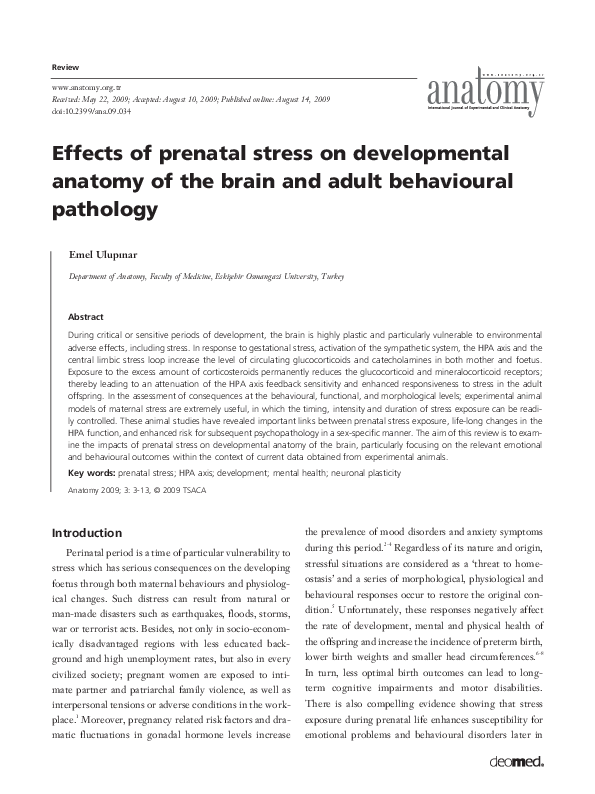 (PDF) Effects of prenatal stress on developmental anatomy of the brain ...