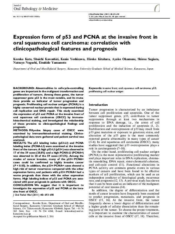 (PDF) Expression form of p53 and PCNA at the invasive front in oral ...