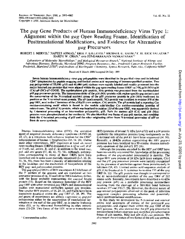 (PDF) The Gag Gene Products of Human Immunodeficiency Virus Type 1 ...