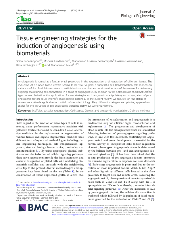 (PDF) Tissue engineering strategies for the induction of angiogenesis ...