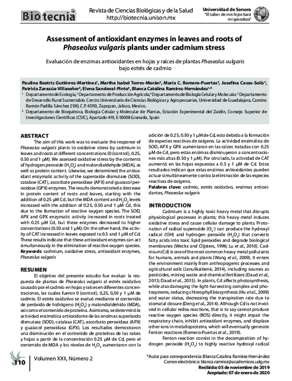 (PDF) Assessment of antioxidant enzymes in leaves and roots of ...
