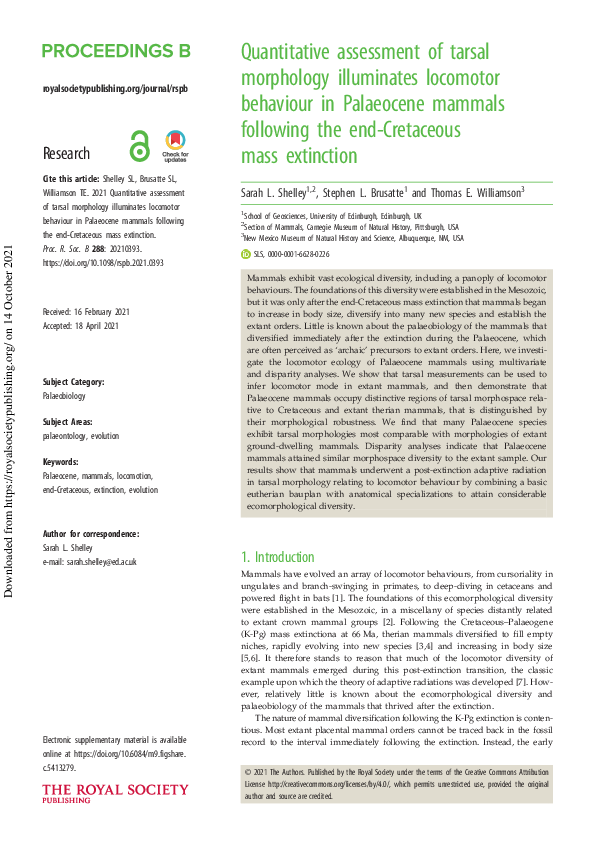(PDF) Quantitative assessment of tarsal morphology illuminates ...