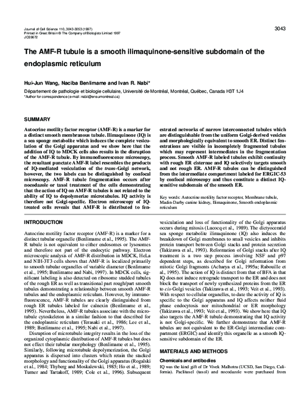 (PDF) The AMF-R tubule is a smooth ilimaquinone-sensitive subdomain of ...