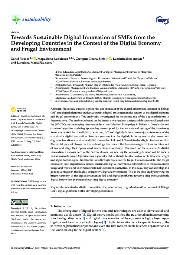 (PDF) Towards Sustainable Digital Innovation of SMEs from the ...