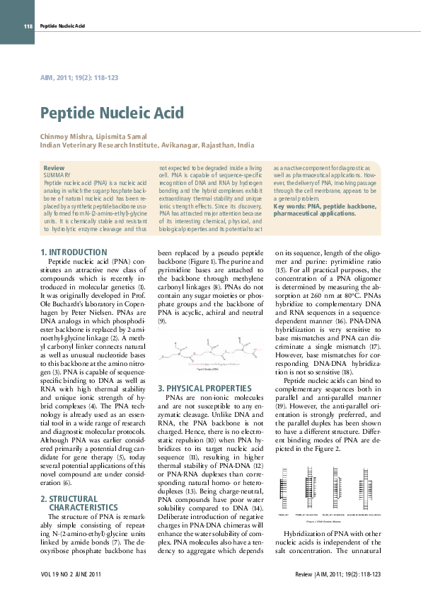 (PDF) Peptide Nucleic Acid