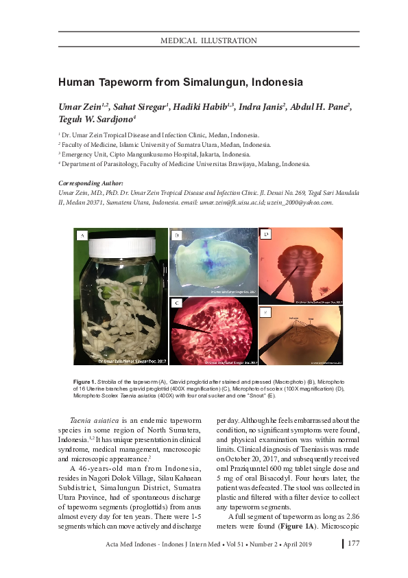 (PDF) Human Tapeworm from Simalungun, Indonesia