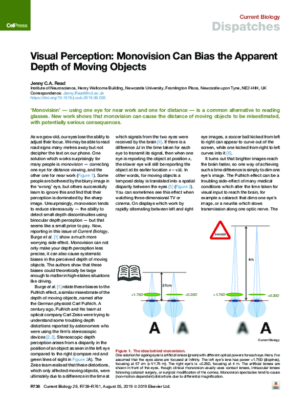 (PDF) Visual Perception: Monovision Can Bias the Apparent Depth of ...