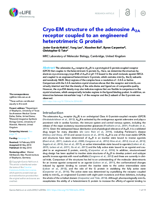 (PDF) Cryo-EM structure of the adenosine A2A receptor coupled to an ...