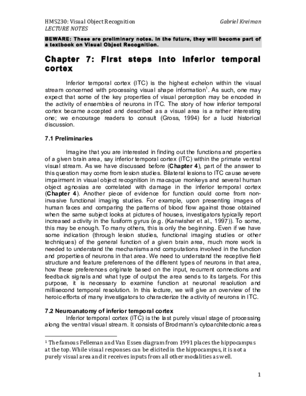 (PDF) Hms230: Visual Object Recognition Chapter 7: First Steps into ...