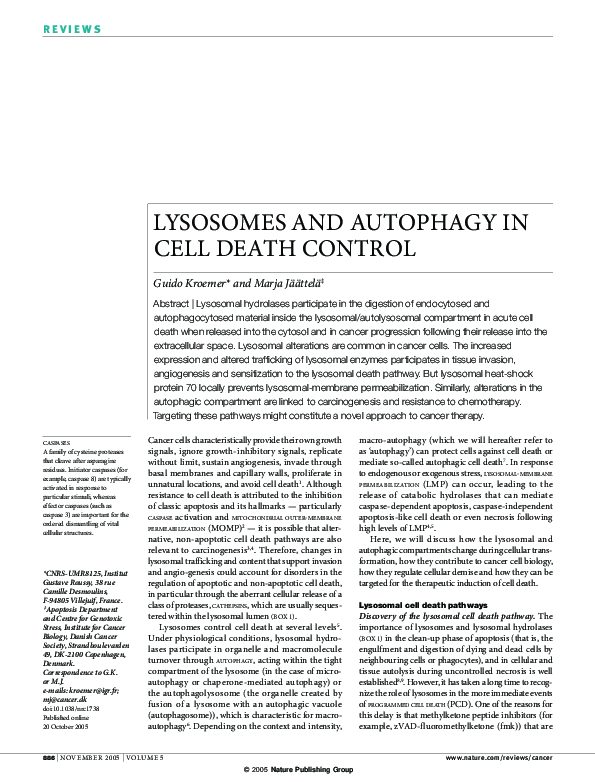 (PDF) Lysosomes and autophagy in cell death control