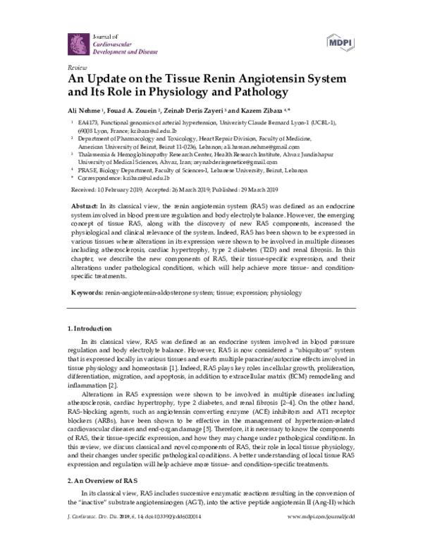 (PDF) An Update on the Tissue Renin Angiotensin System and Its Role in ...