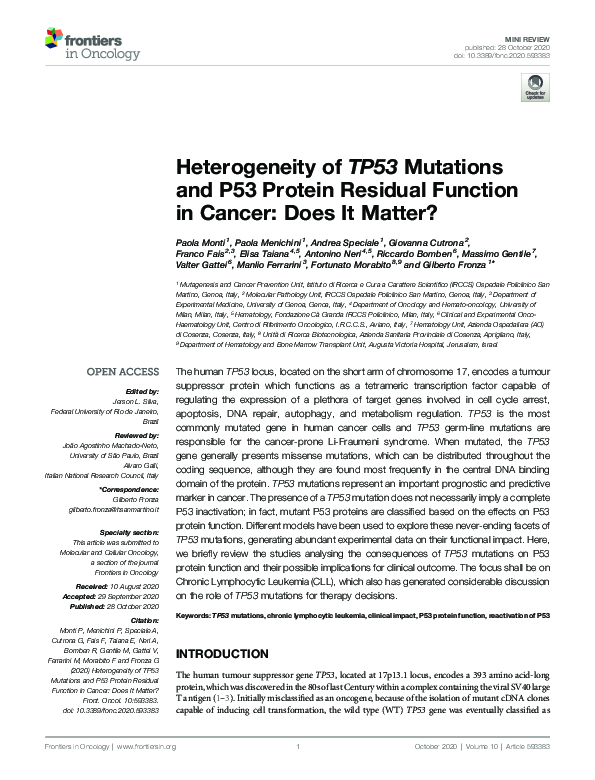 (PDF) Heterogeneity of TP53 Mutations and P53 Protein Residual Function ...