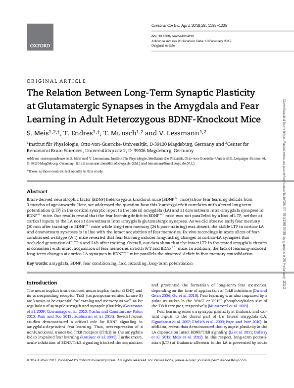 (PDF) The Relation Between Long-Term Synaptic Plasticity at ...