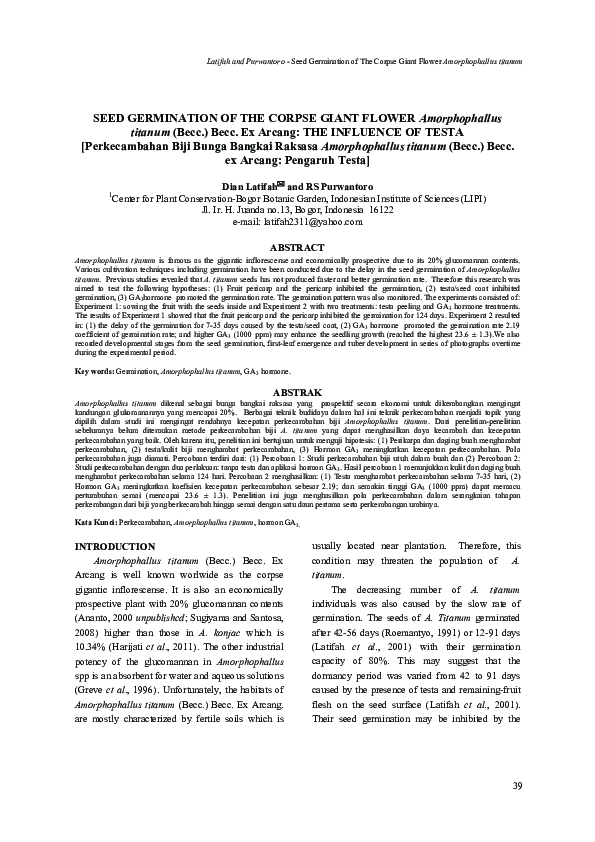 (PDF) SEED GERMINATION OF THE CORPSE GIANT FLOWER Amorphophallus ...