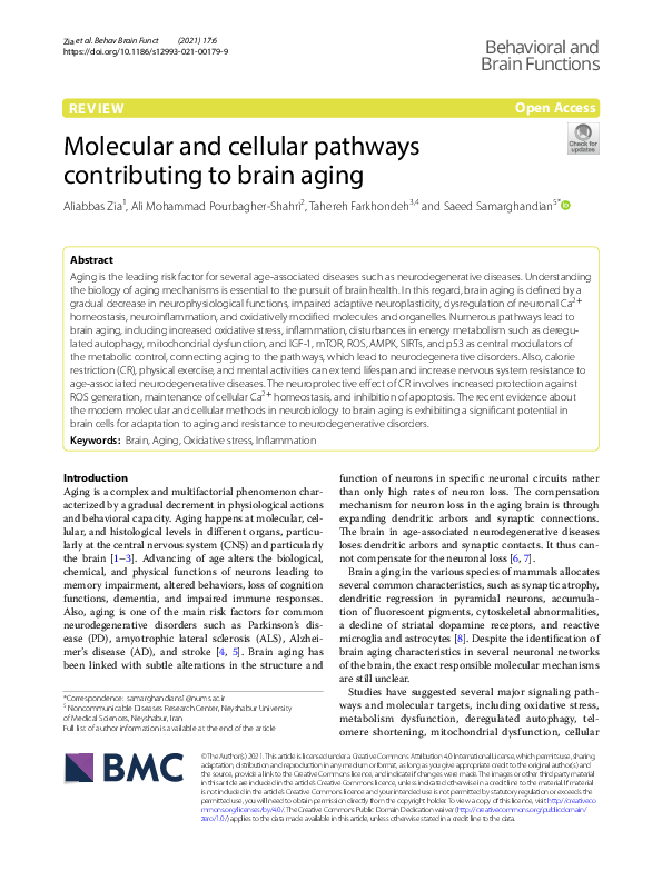 (PDF) Molecular and cellular pathways contributing to brain aging