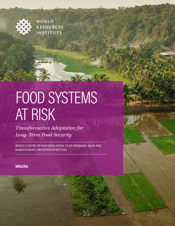 (PDF) Food Systems at Risk Transformative Adaptation for LongTerm