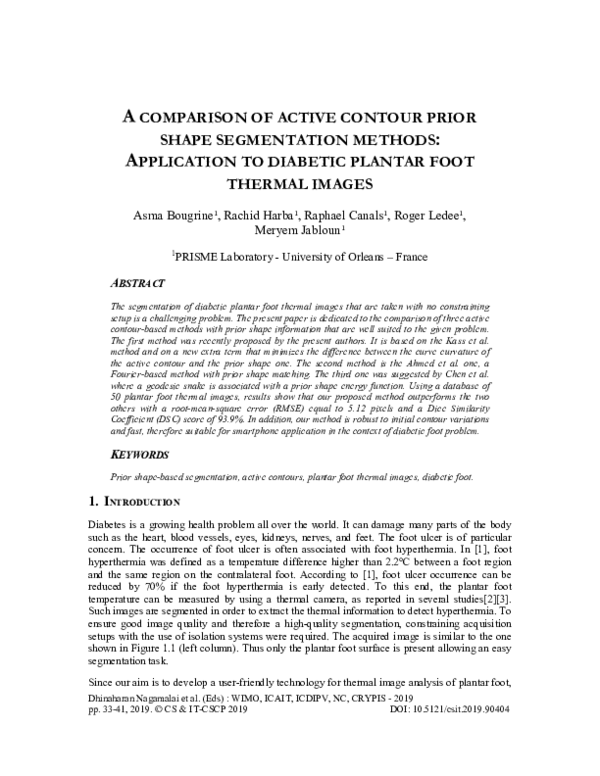 (PDF) A Comparison of Active Contour Prior Shape Segmentation Methods ...