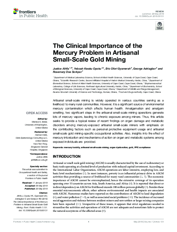 (PDF) The Clinical Importance of the Mercury Problem in Artisanal Small ...