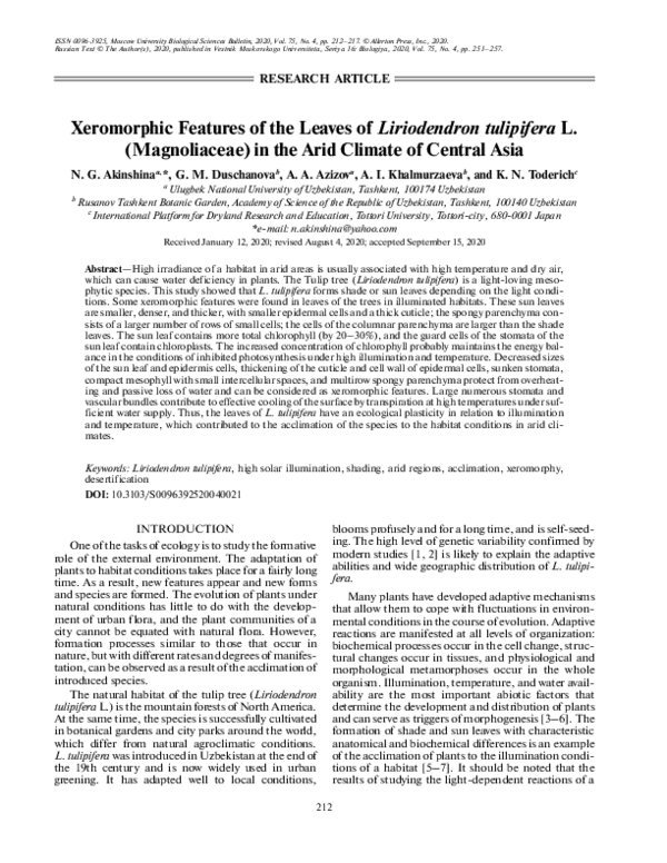 (PDF) Xeromorphic Features of the Leaves of Liriodendron Tulipifera L ...